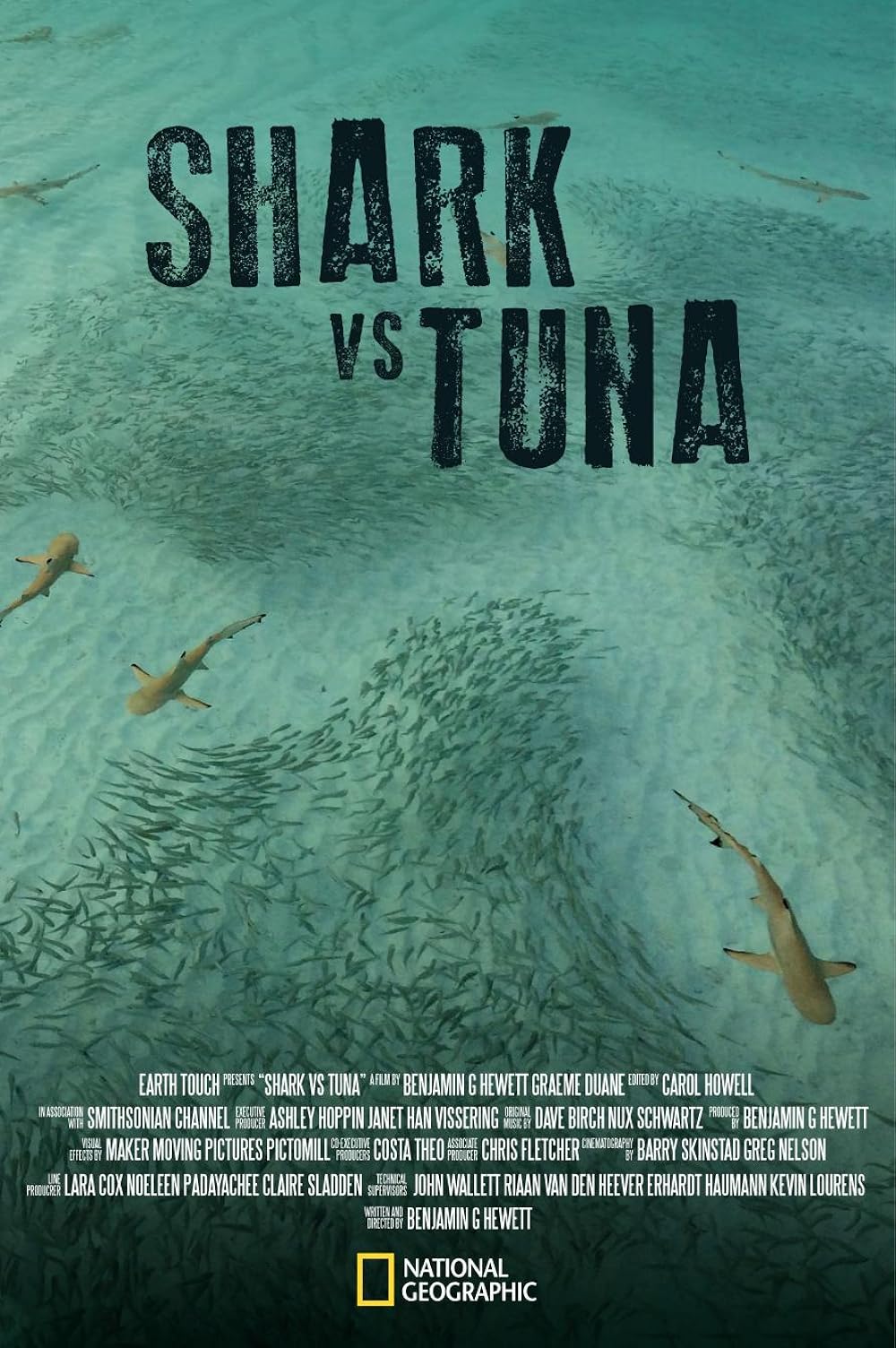 Shark Shark