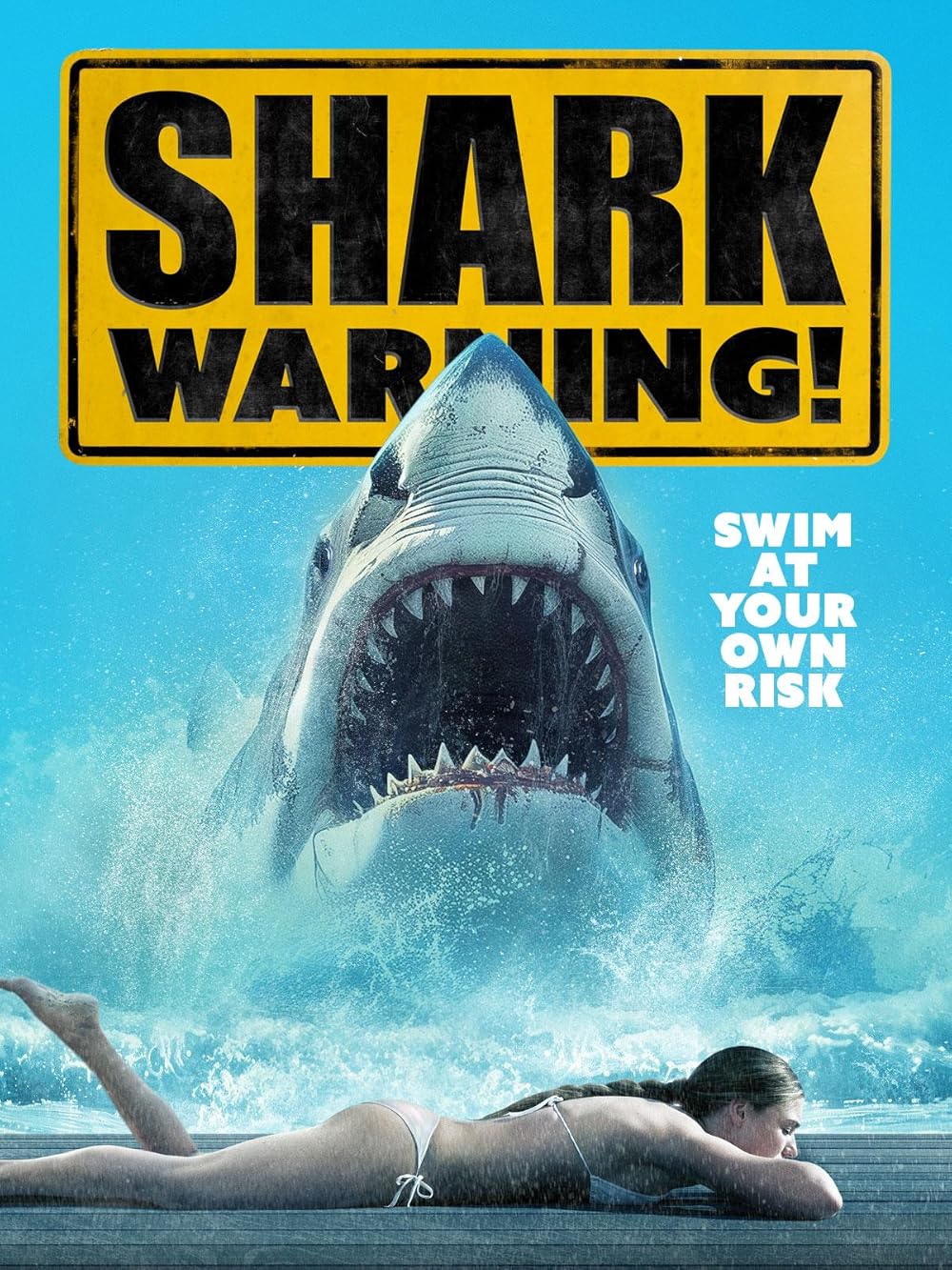 Shark Shark