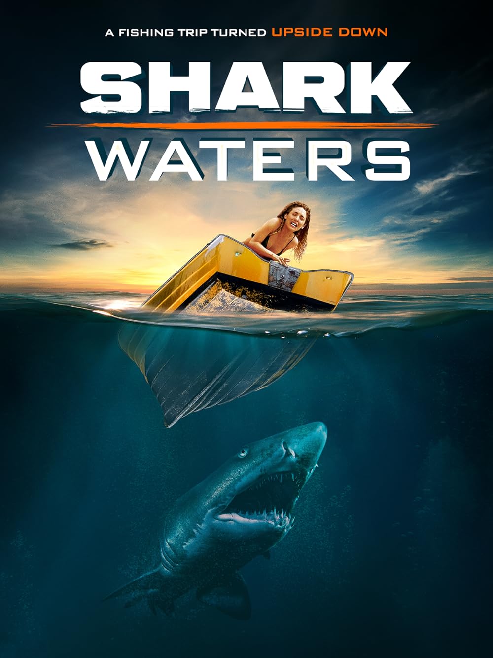 Shark Shark