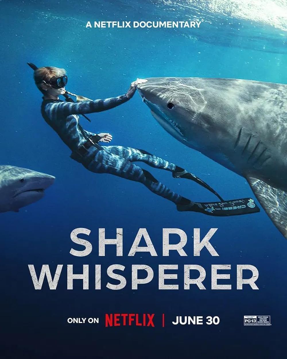 Shark