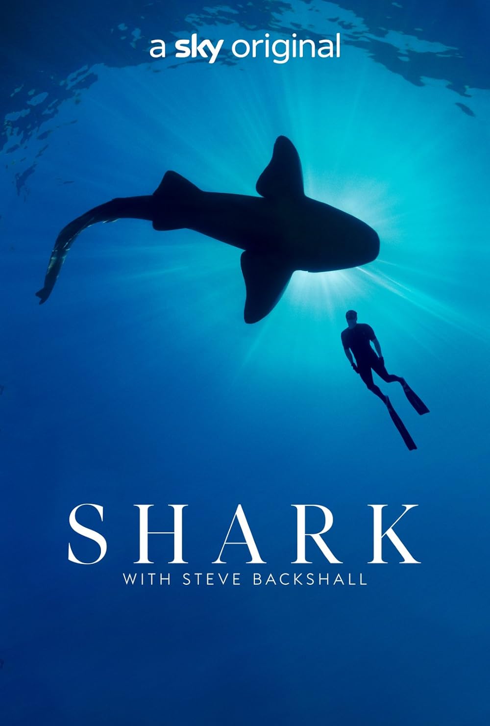 Shark