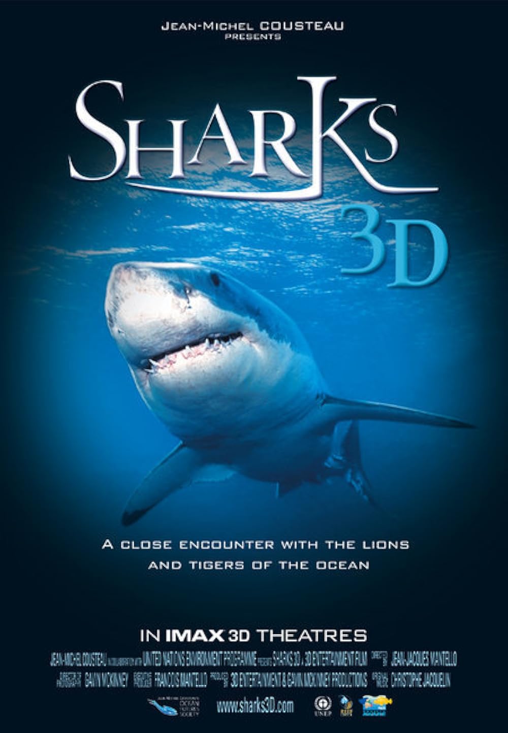 Sharks Sharks