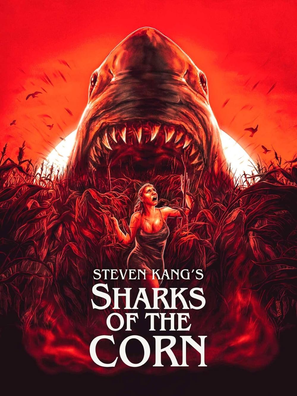 Sharks Sharks