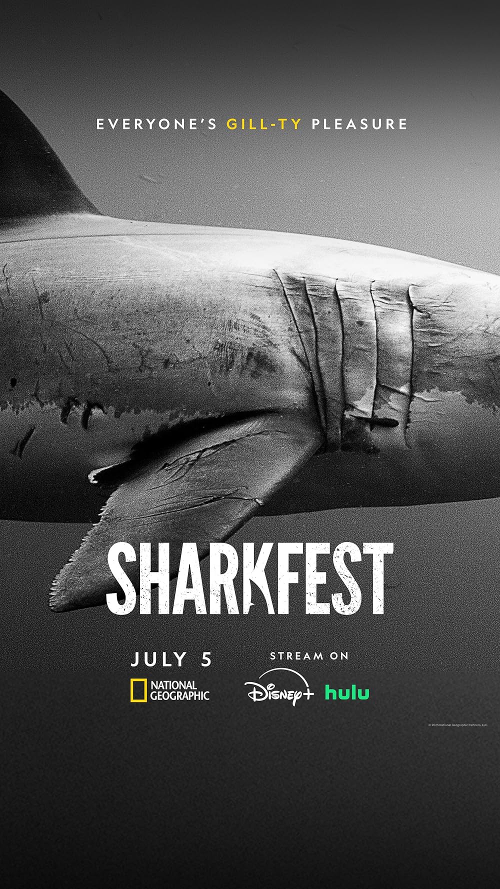 Sharks