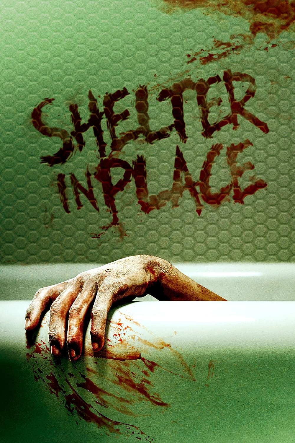 Shelter Shelter