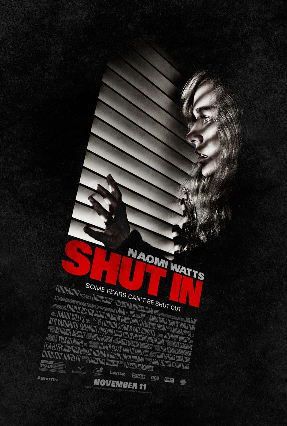 Shut Shut
