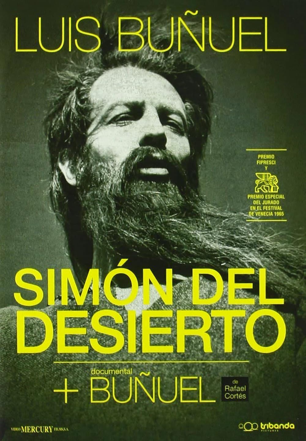 Simon Simon