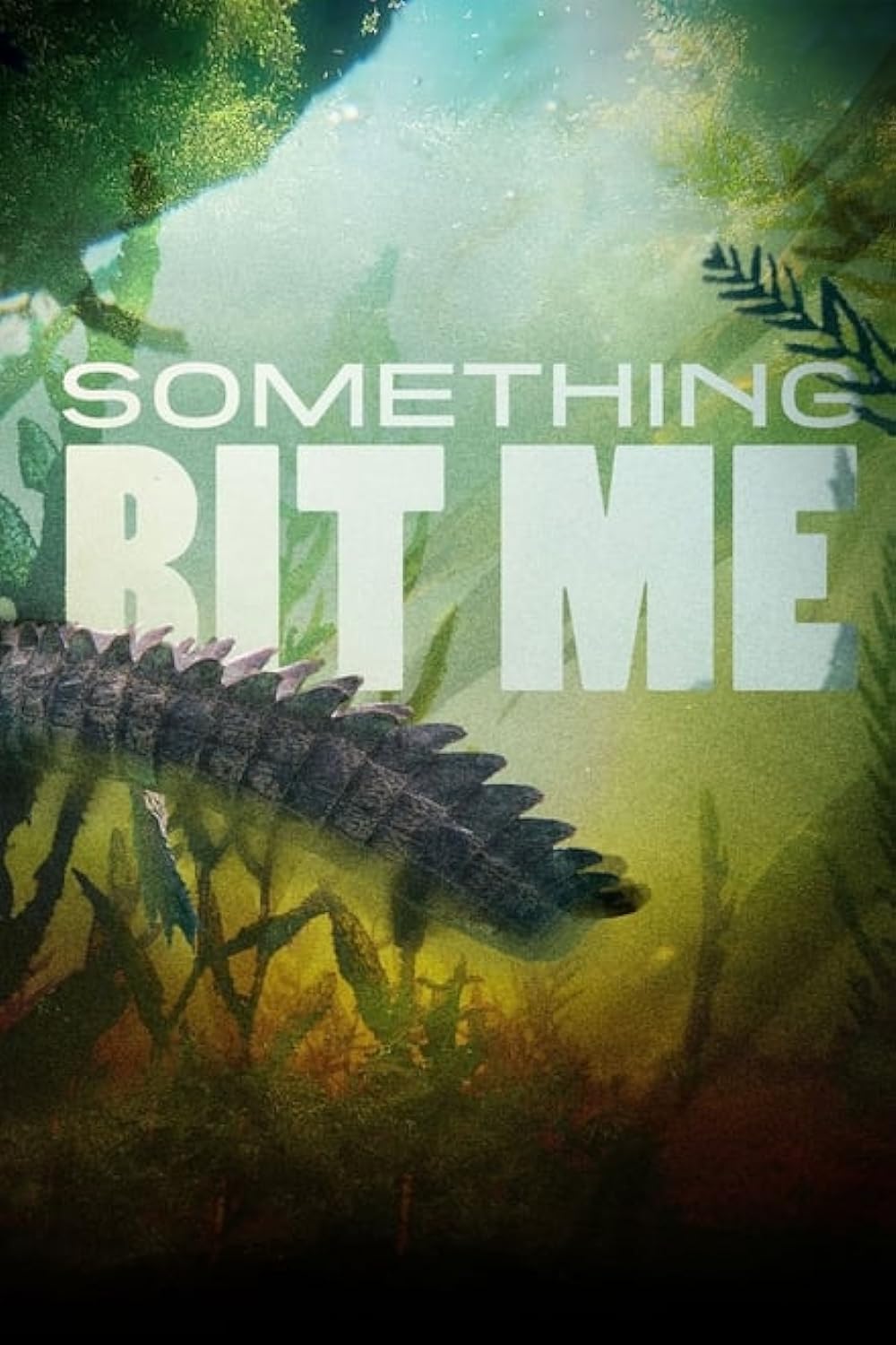 Something Something