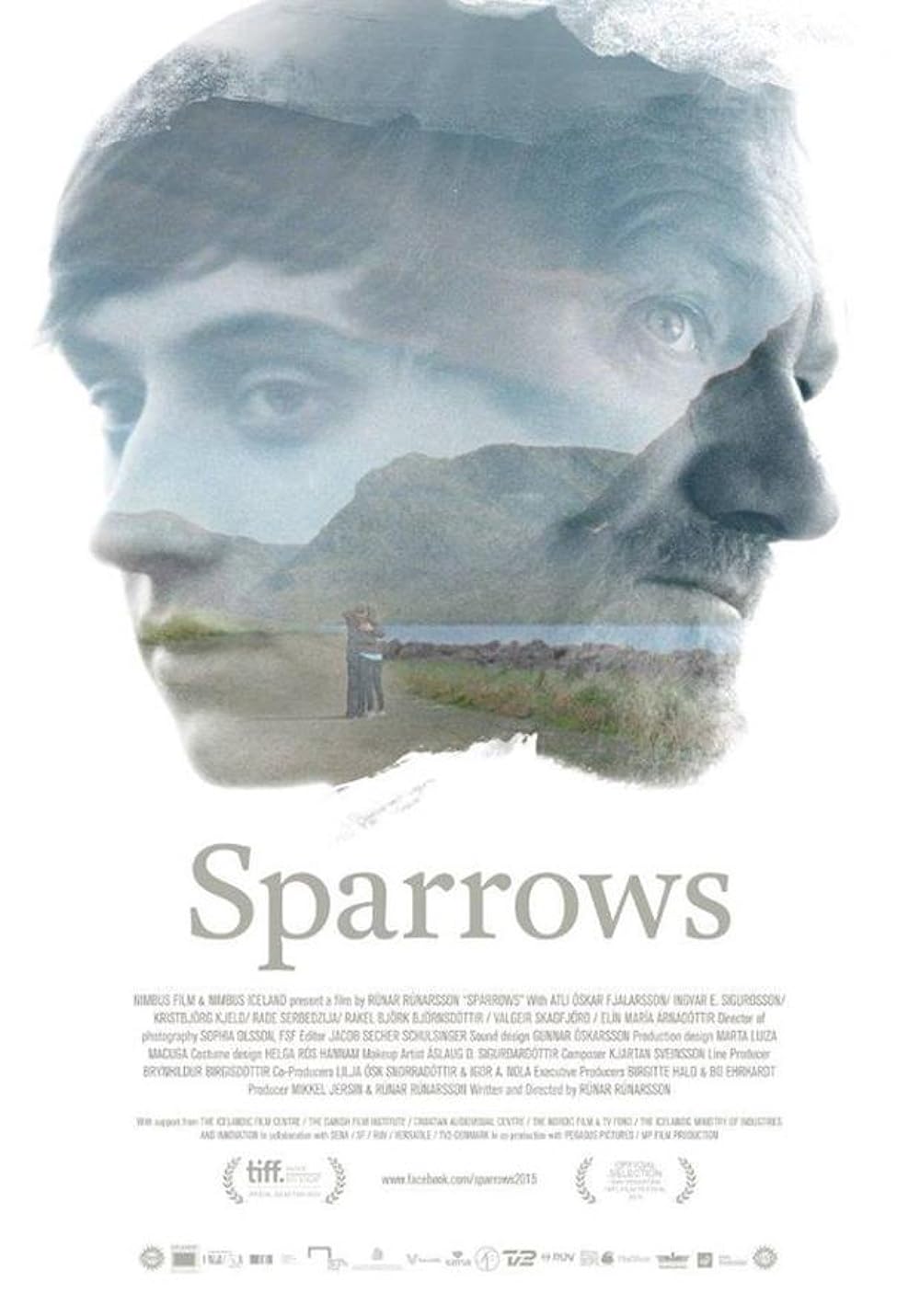 Sparrows Sparrows