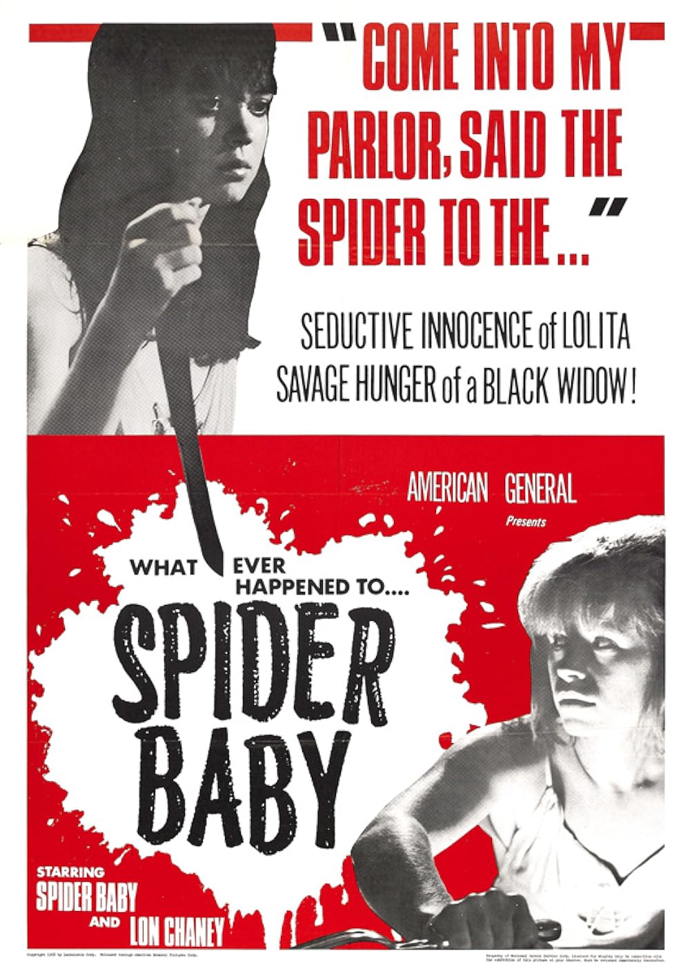 Spider Spider