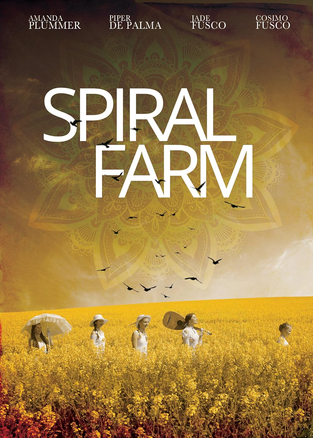 Spiral Spiral