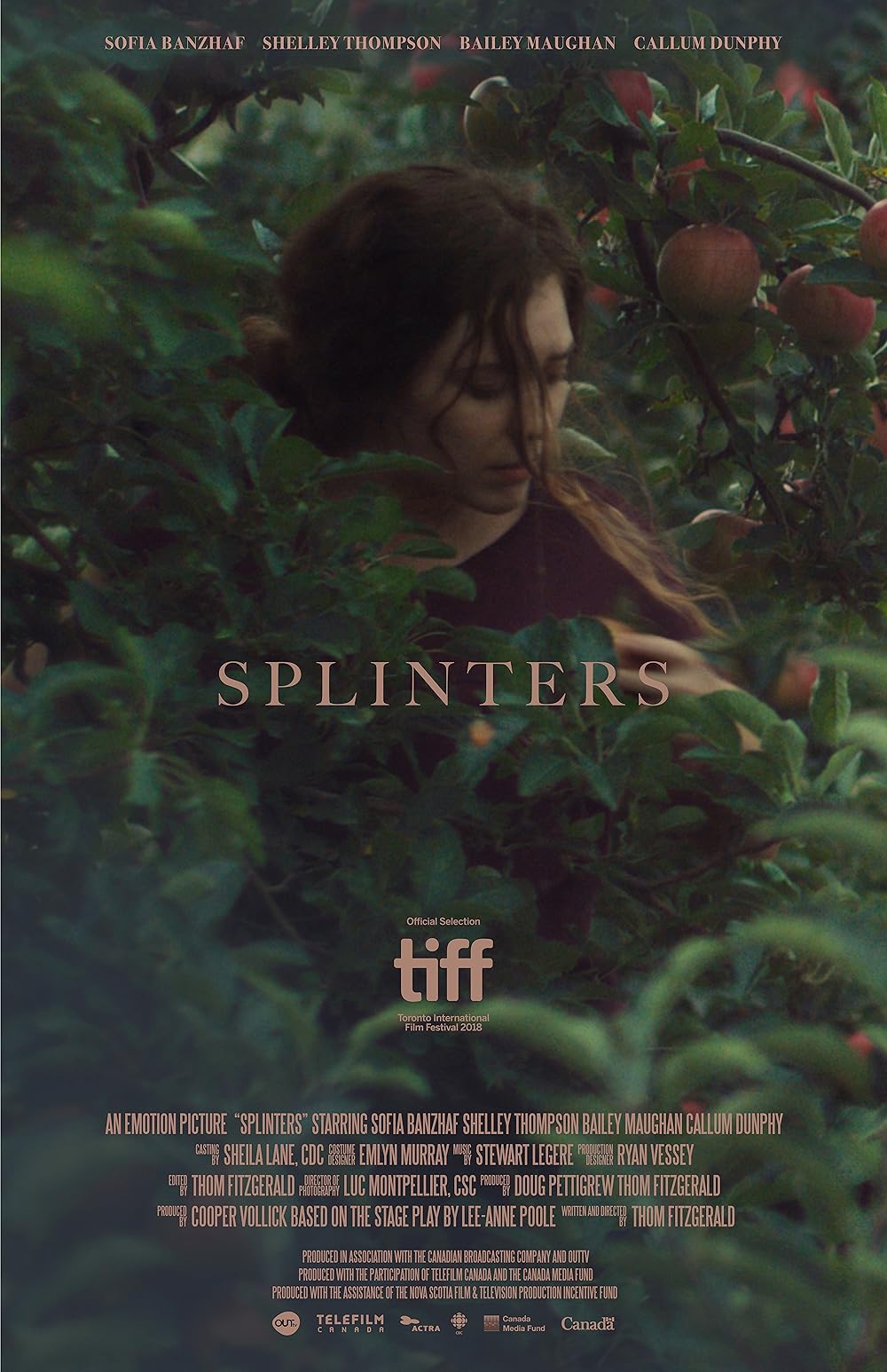 Splinters