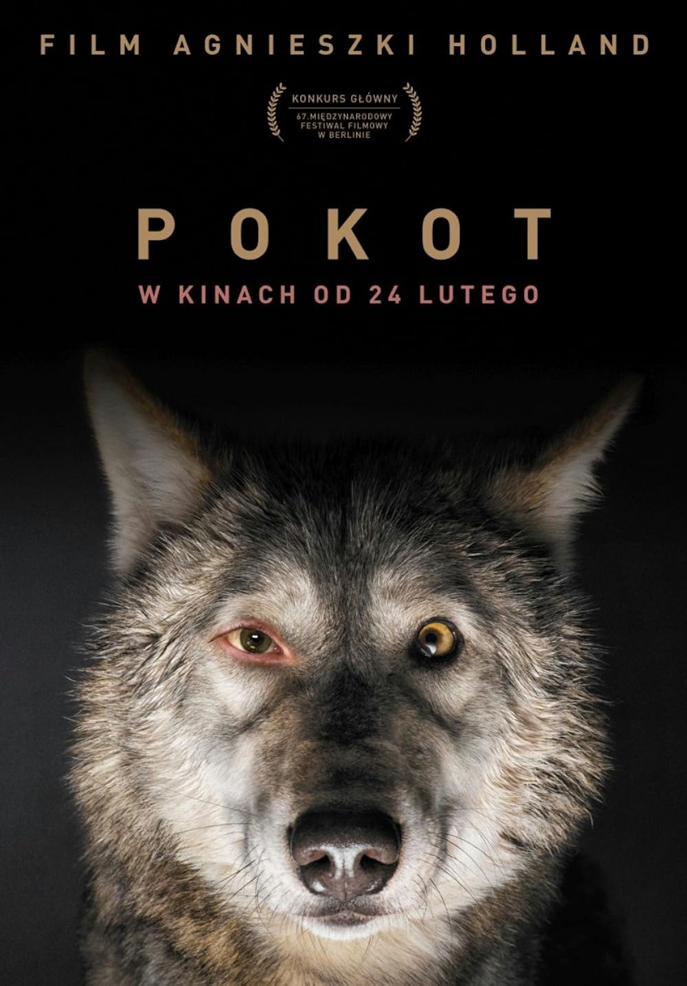 Spoor Spoor