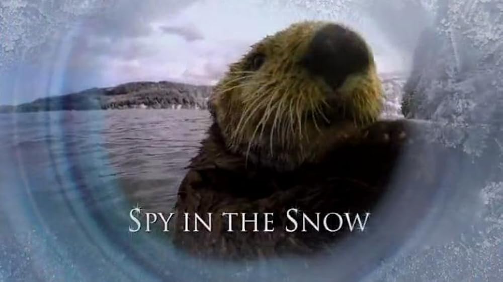 Spy