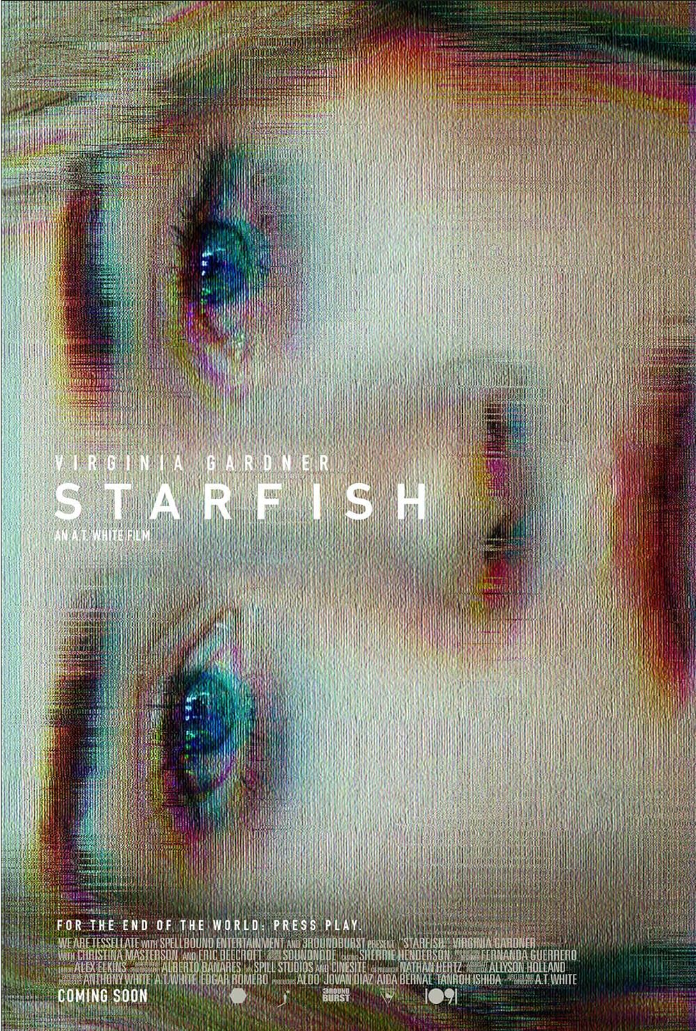 Starfish Starfish