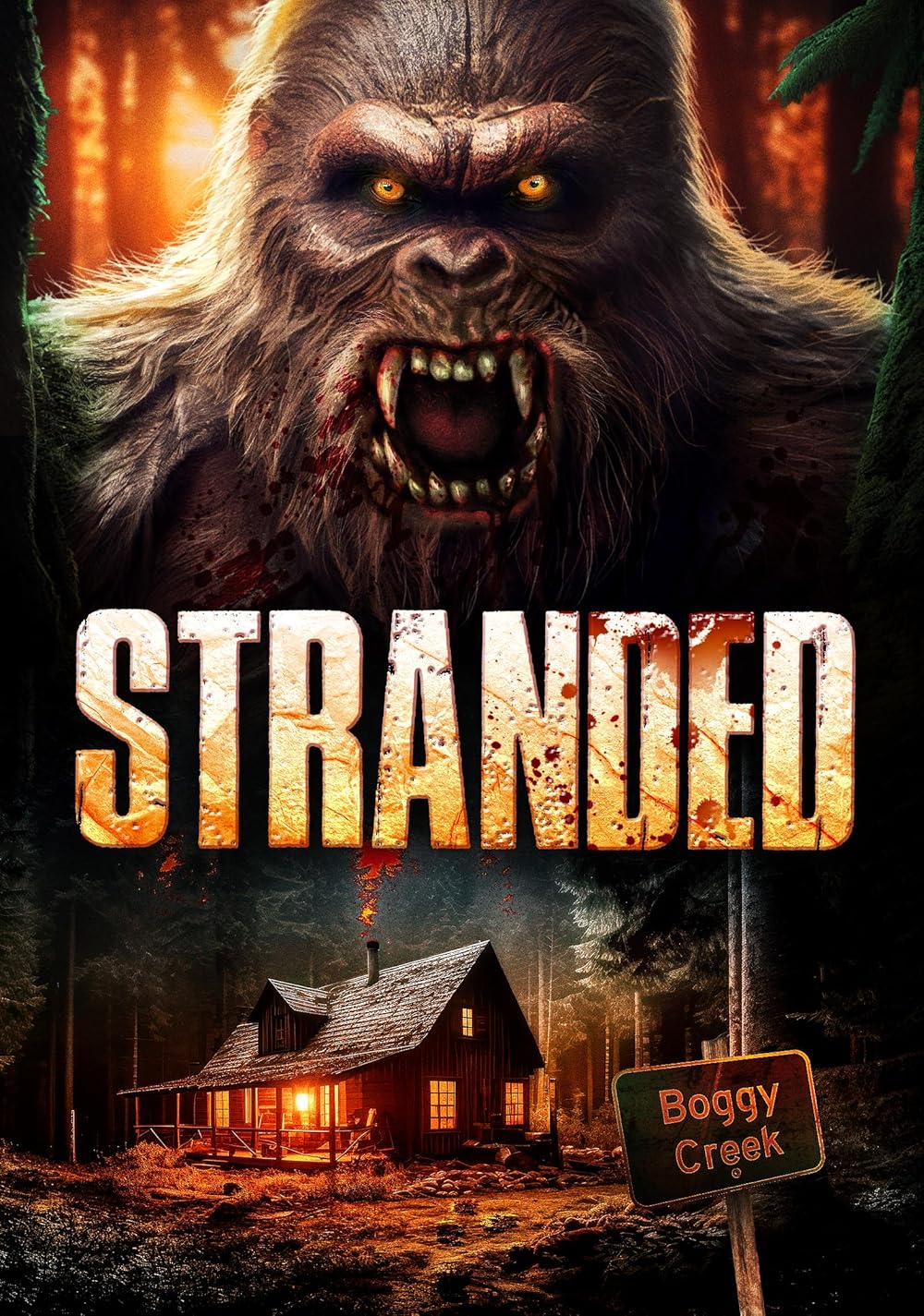 Stranded Stranded