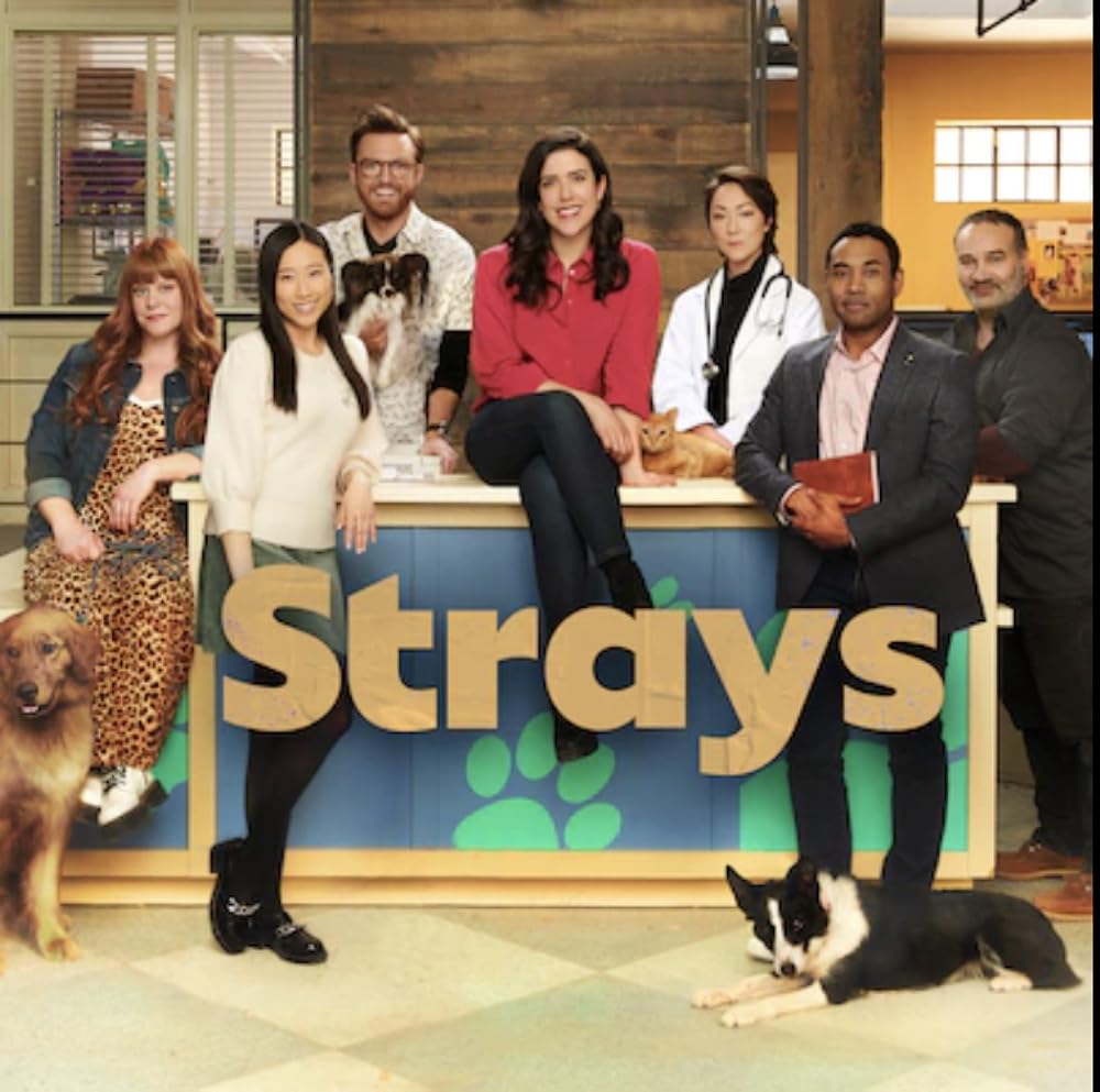 Strays Strays