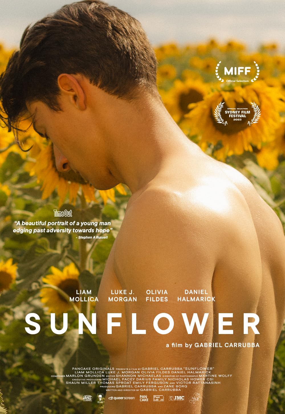 Sunflower Sunflower