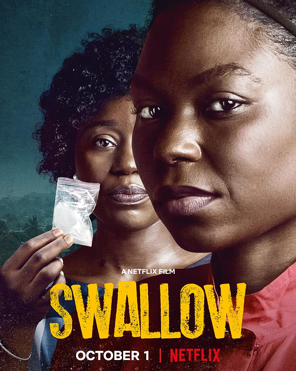 Swallow Swallow