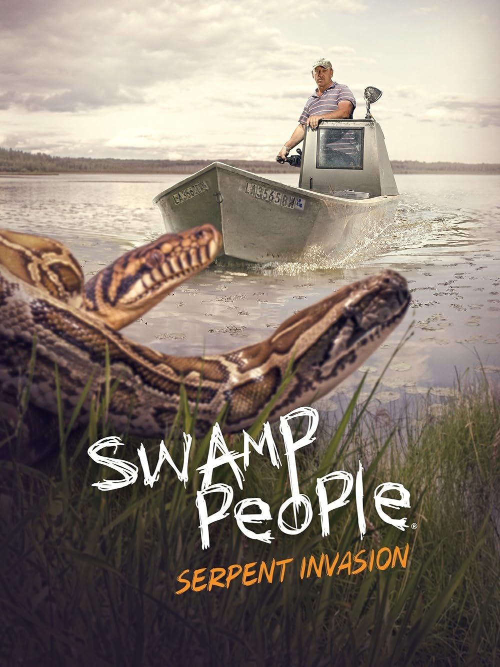 Swamp Swamp