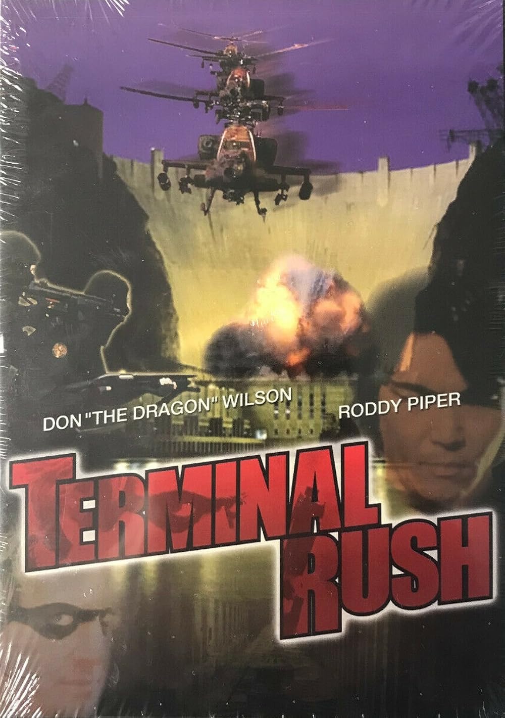 Terminal