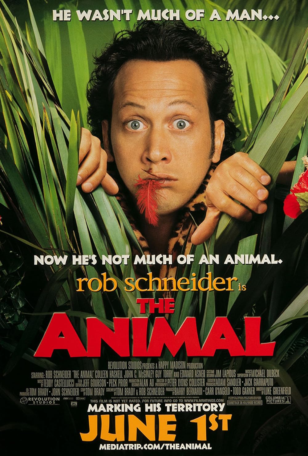 The The