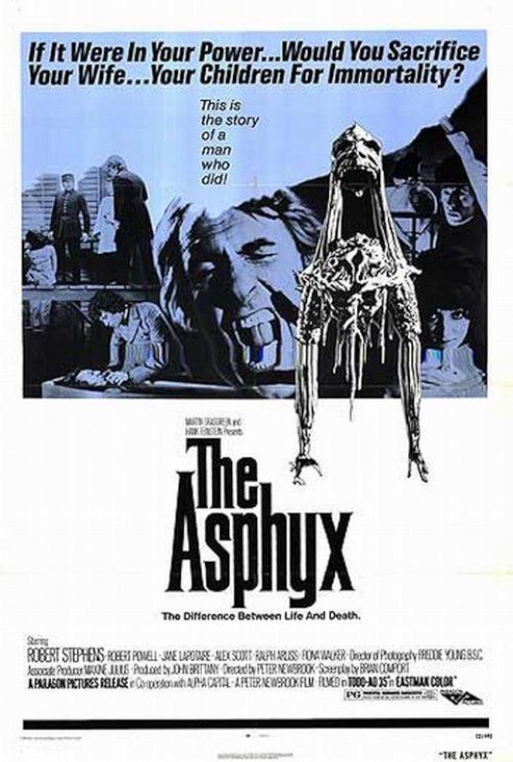 The The