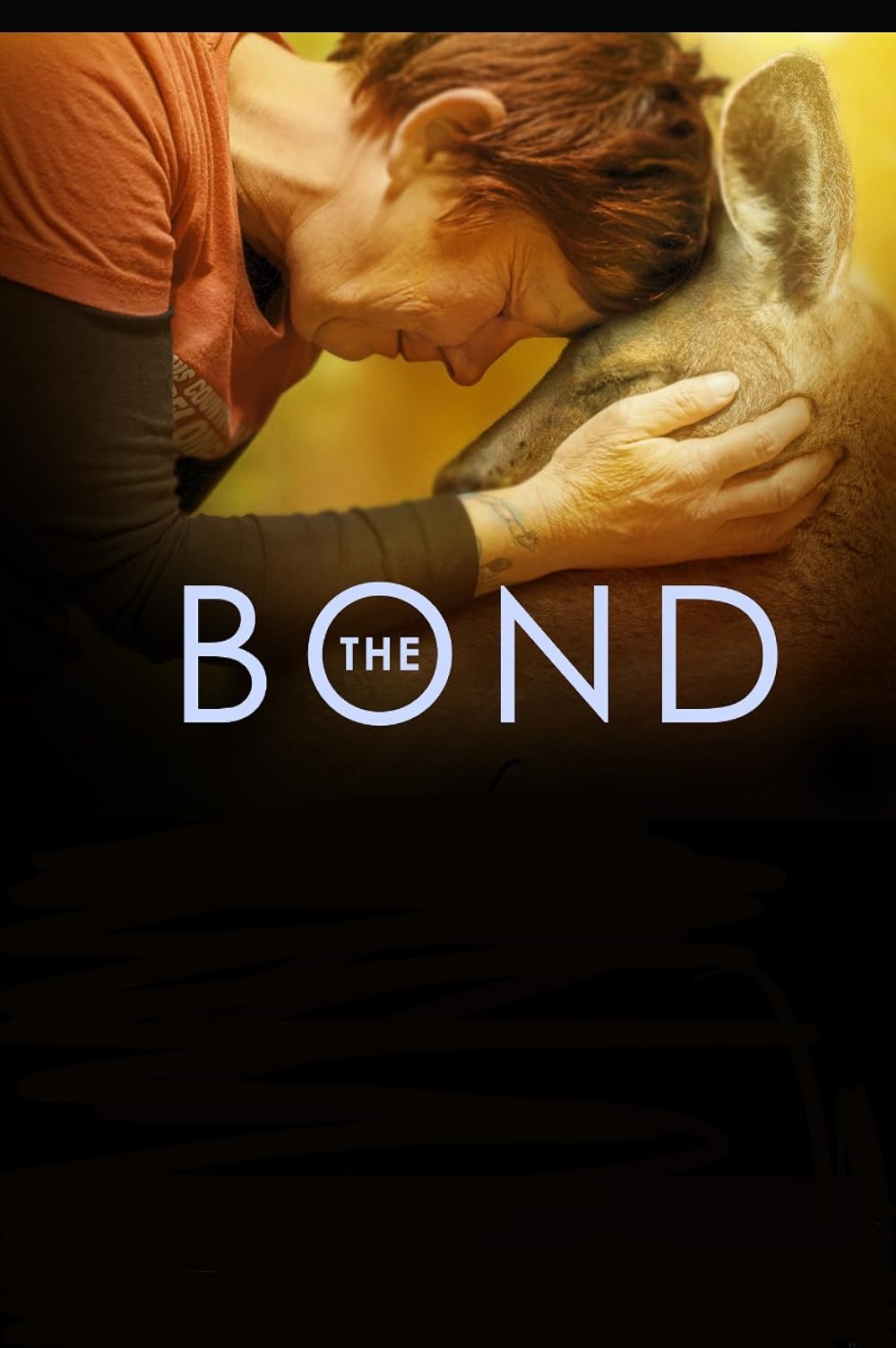 The The