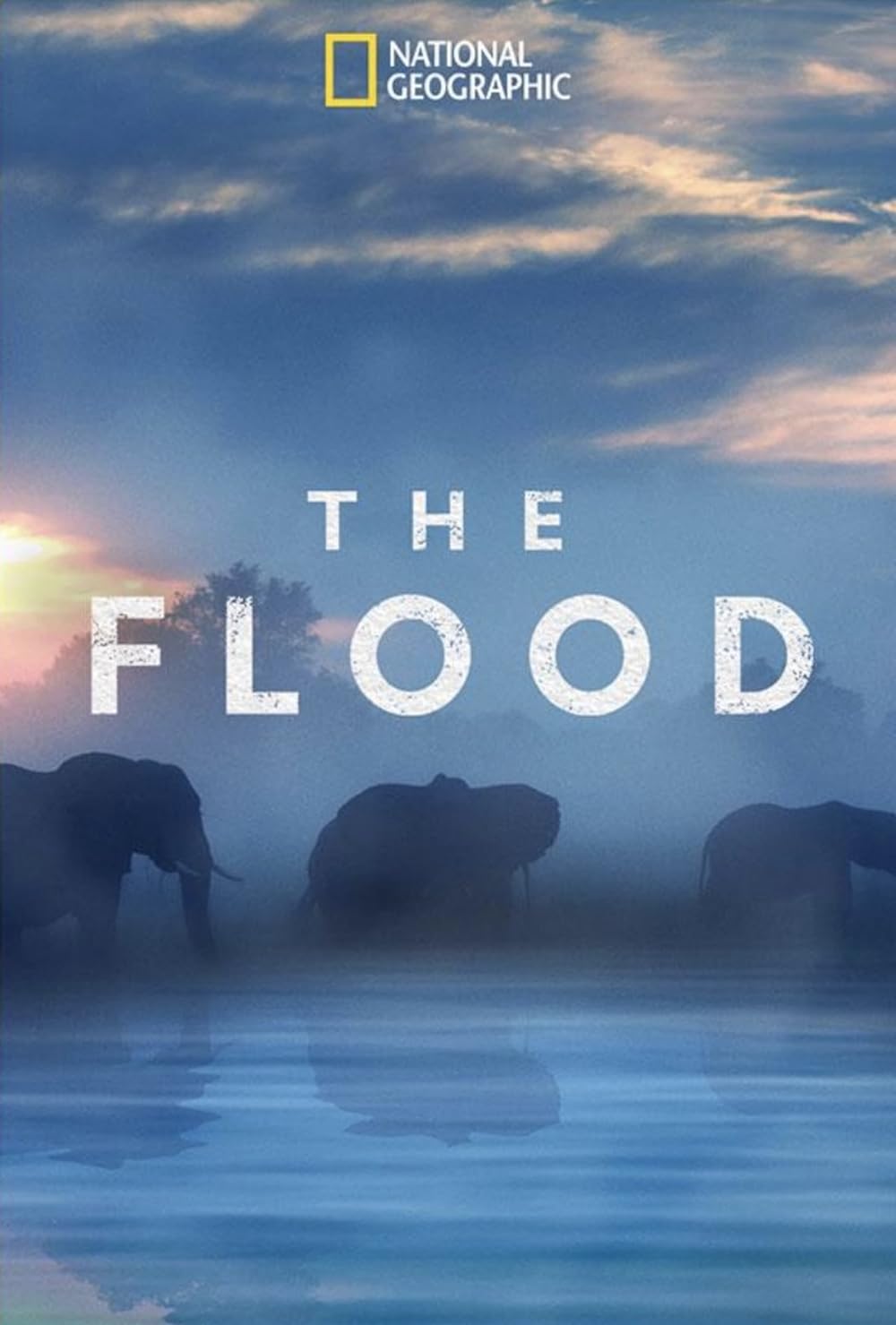 The The