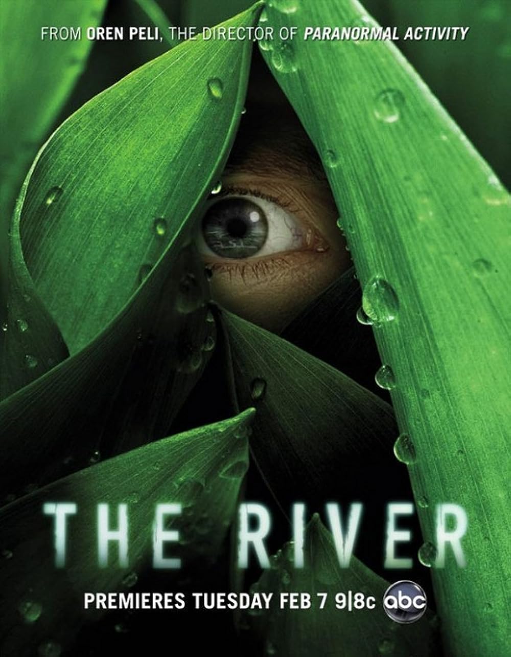 The The