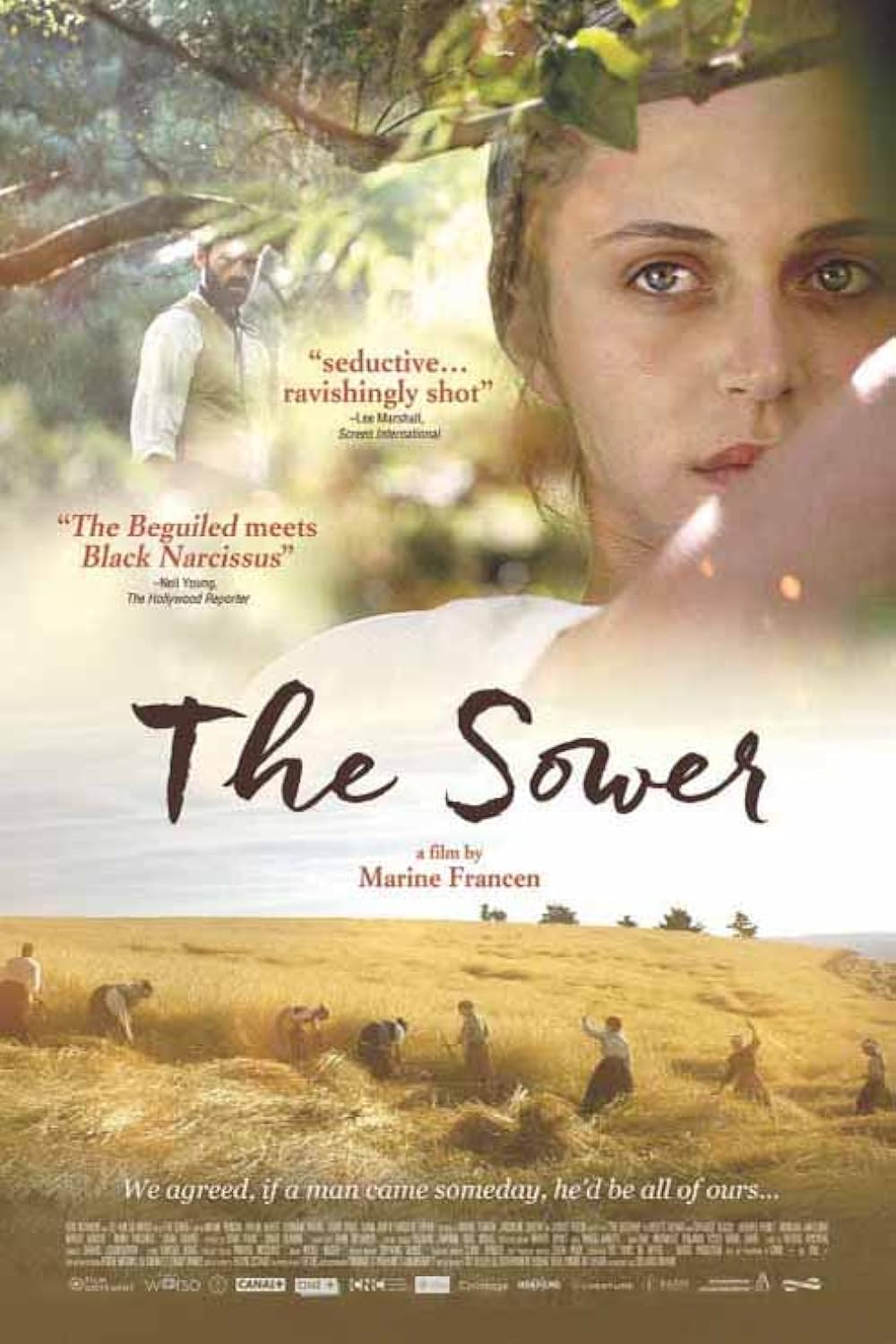 The The