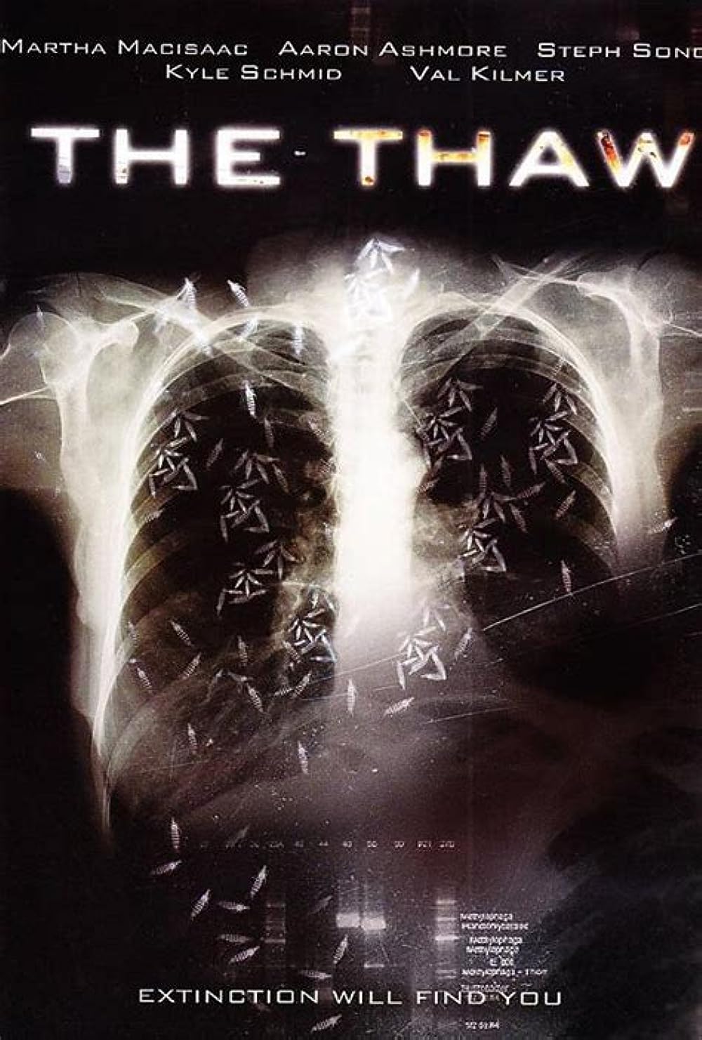 The The