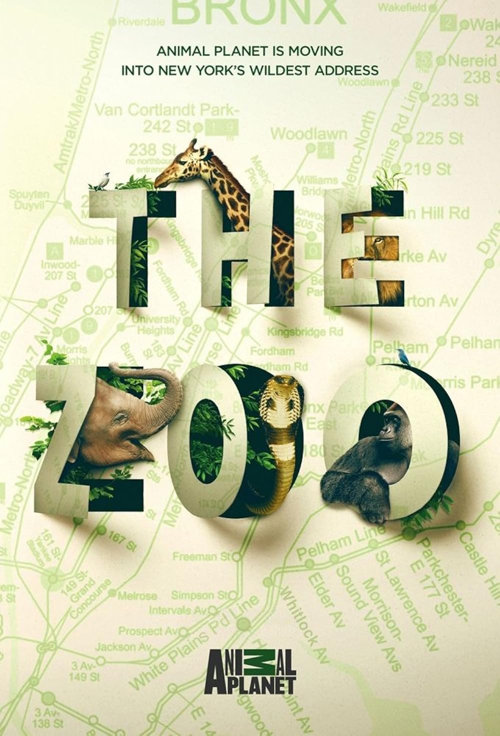 The The