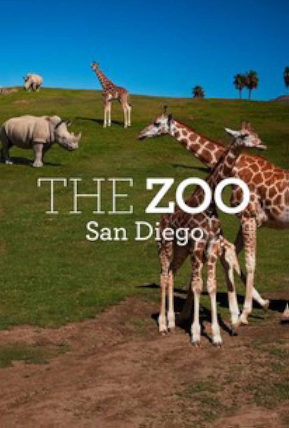 The The