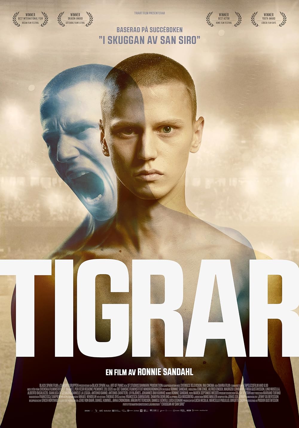 Tigers Tigers