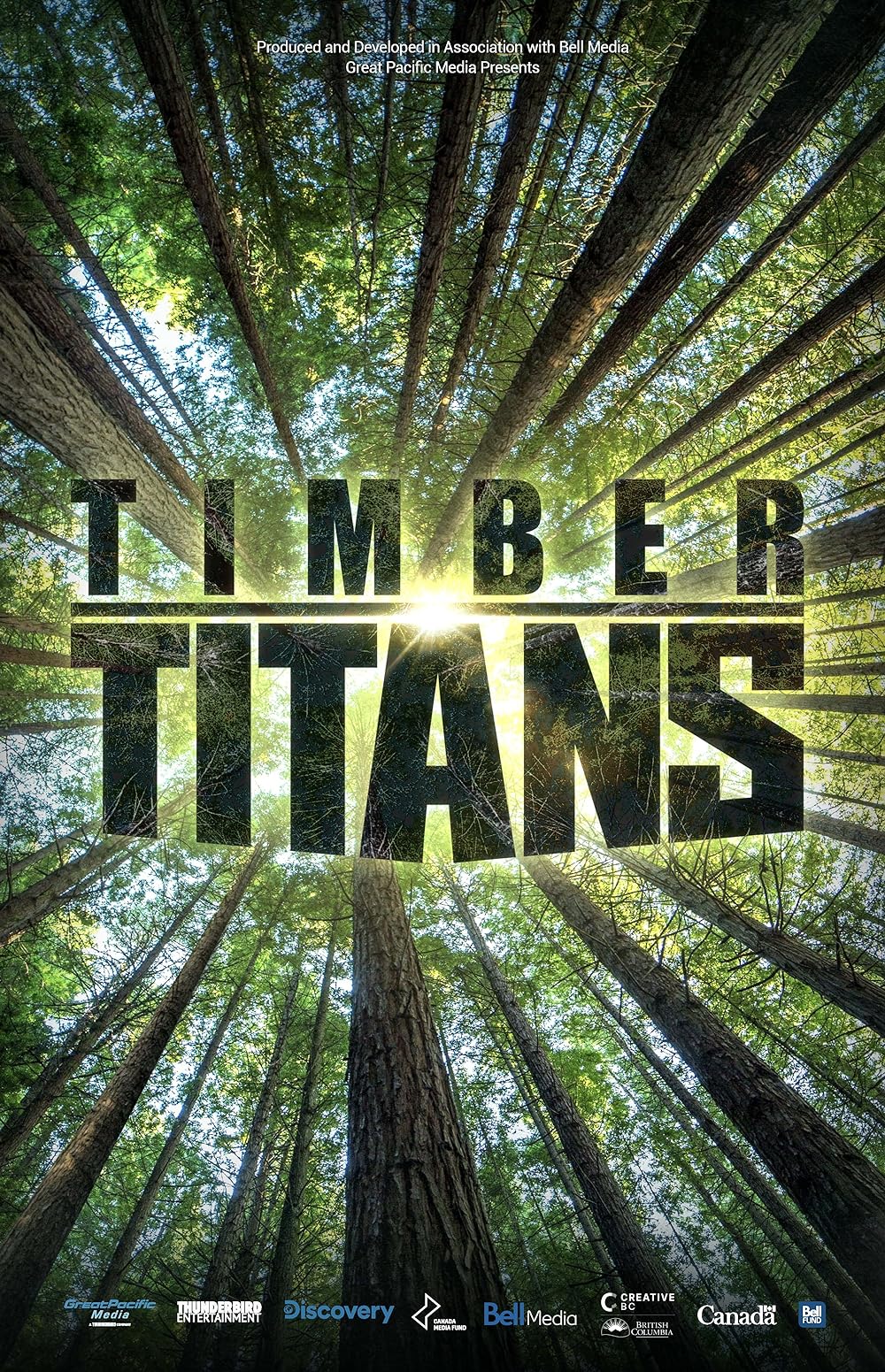 Timber Timber