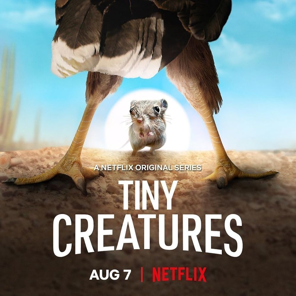 Tiny Tiny