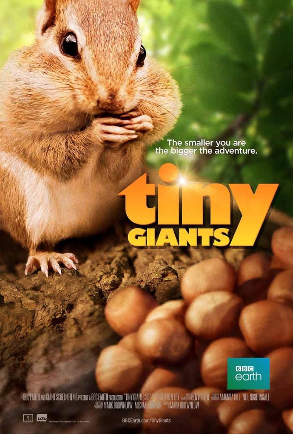 Tiny Tiny