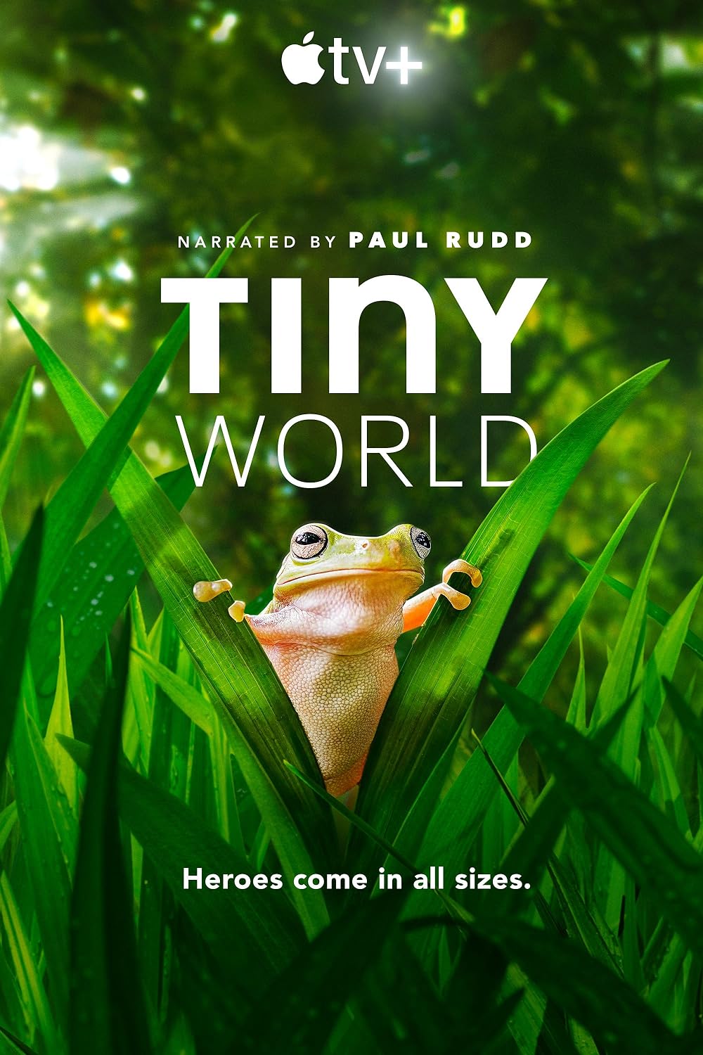 Tiny