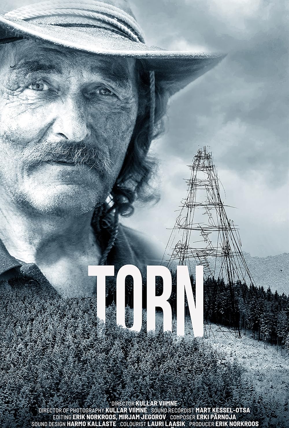 Torn Torn