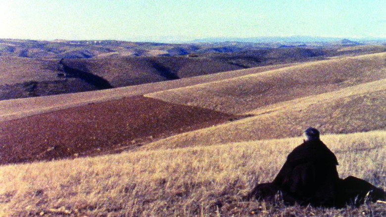 Tras-os-Montes Tras-os-Montes