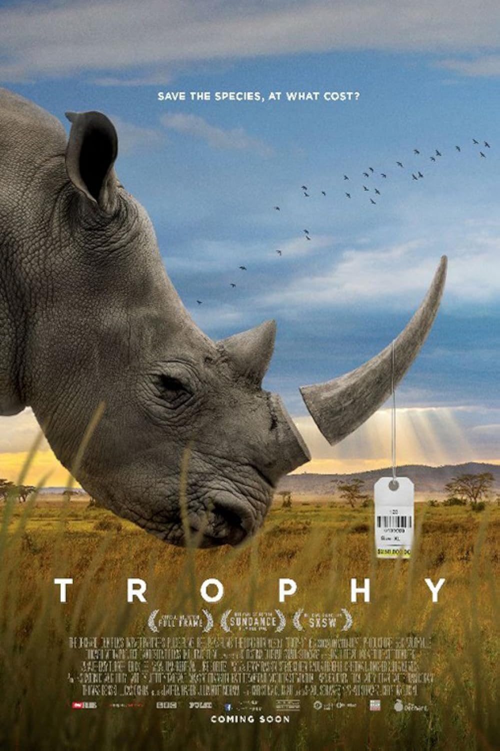 Trophy Trophy