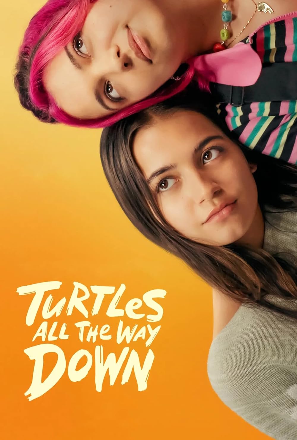 Turtles Turtles