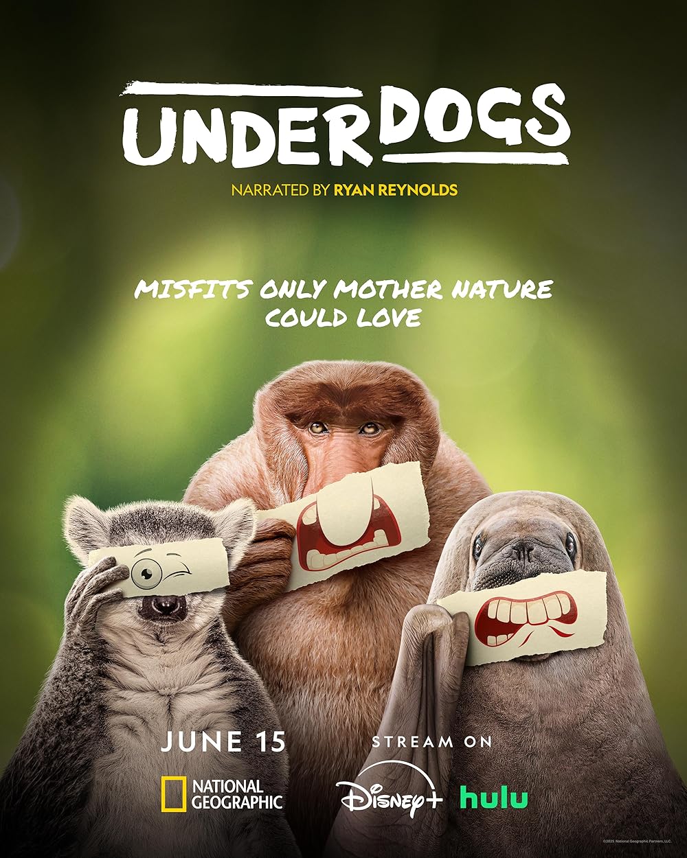 Underdogs Underdogs