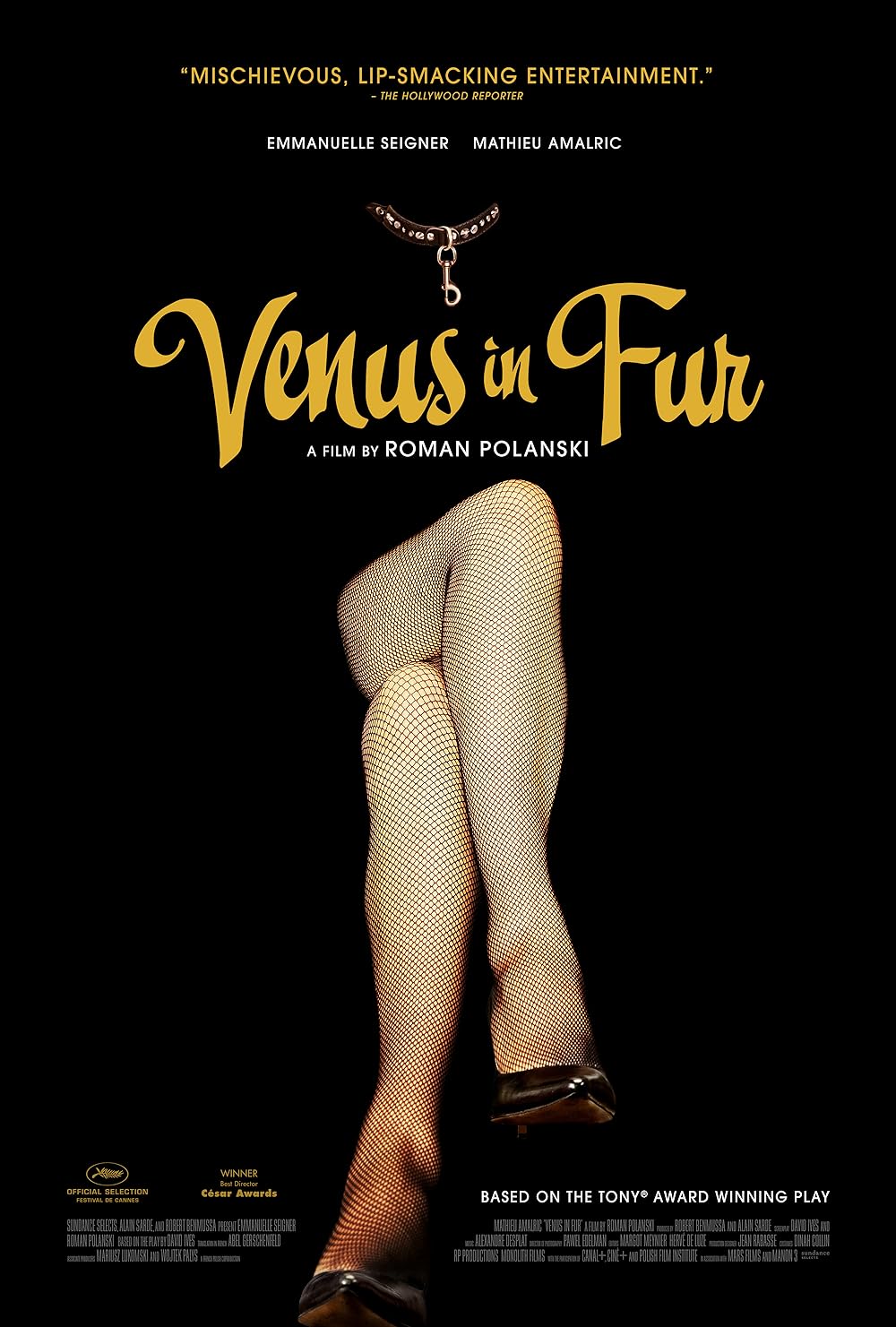 Venus Venus
