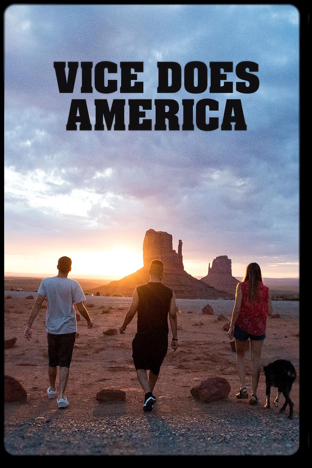 Vice Vice