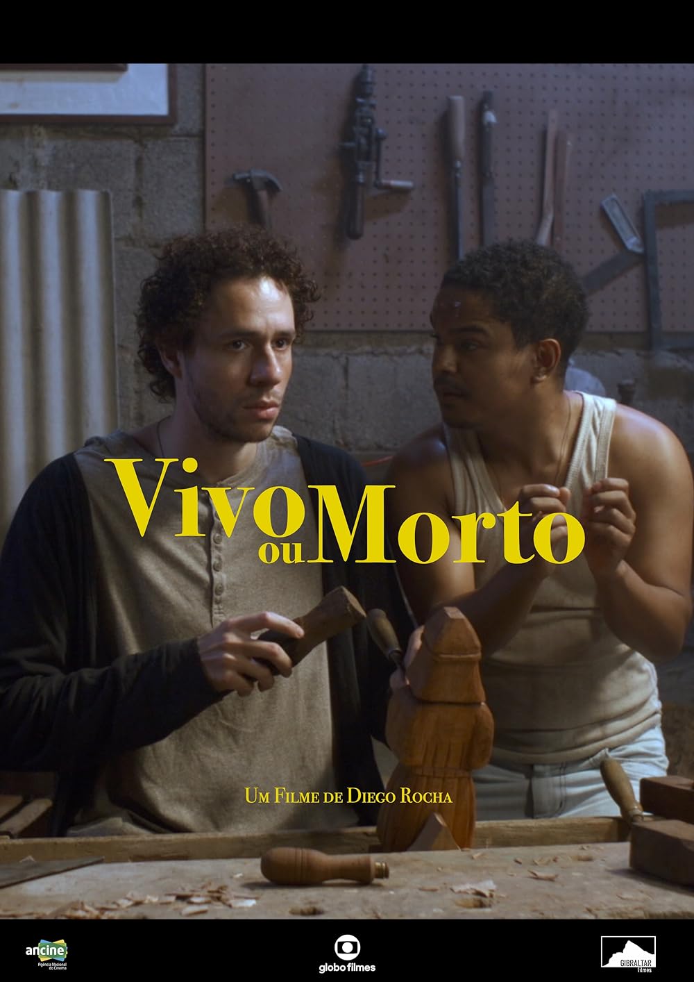 Vivo Vivo