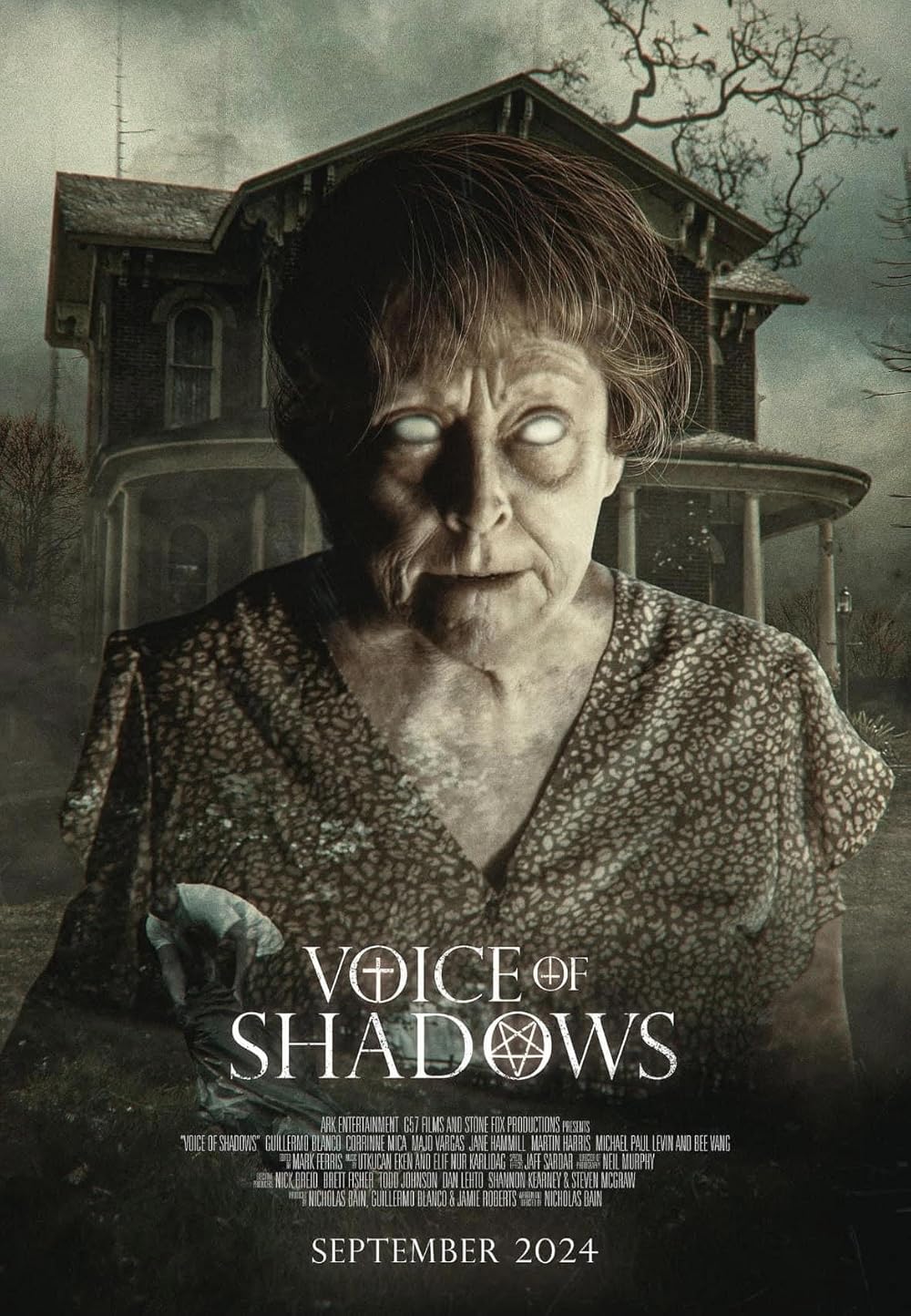 Voice