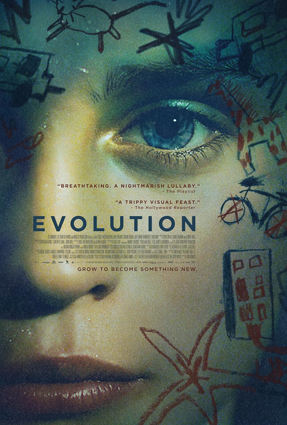 Évolution Évolution