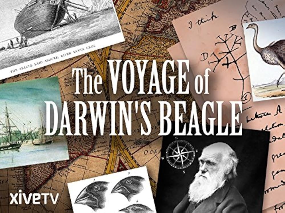 Voyage Voyage